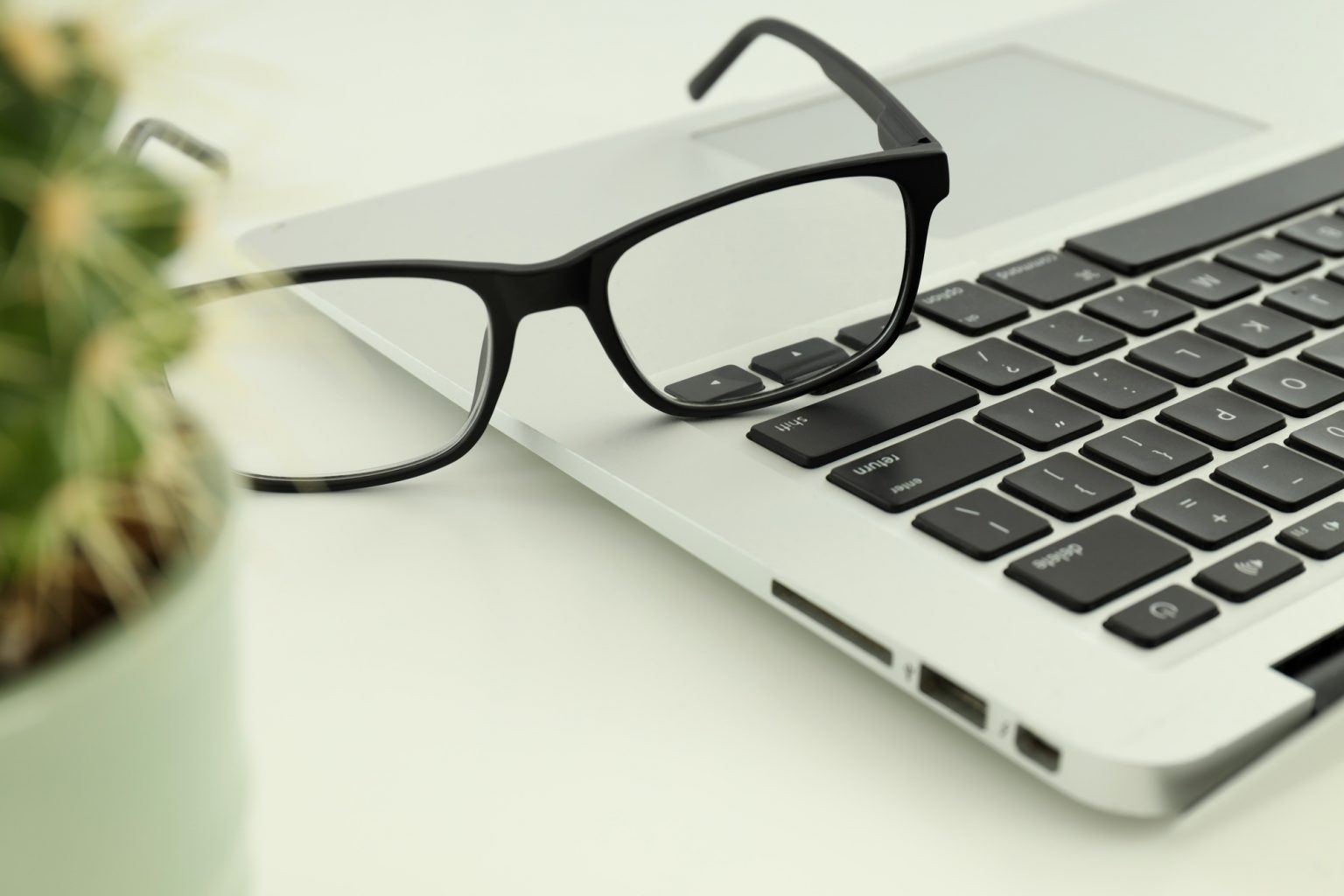 Laptop, glasses and plant, close up, business concept